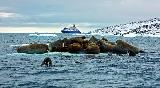 Expedition Franz-Josef-Land, MV Sea Spirit