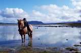Islandpferde und Naturwunder