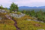 Wander- und Reittour in Lappland